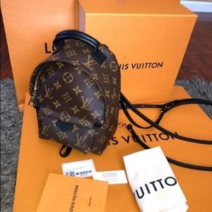 Louis Vuitton Palm Spring Mini